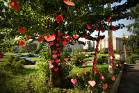 Дерево признаний в любви на улице Турку
